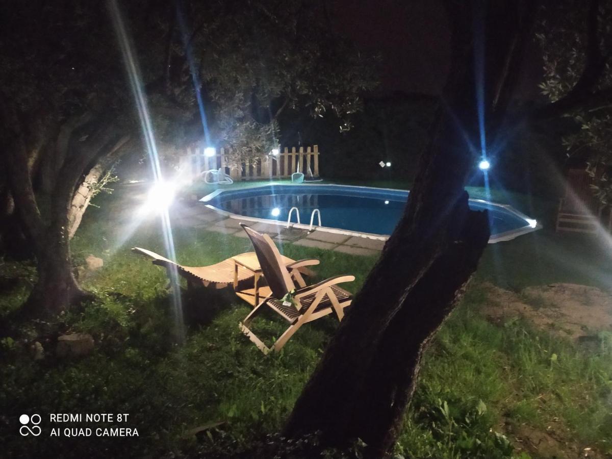 Il Borgo Dei Pini Apartment Vinci Ngoại thất bức ảnh
