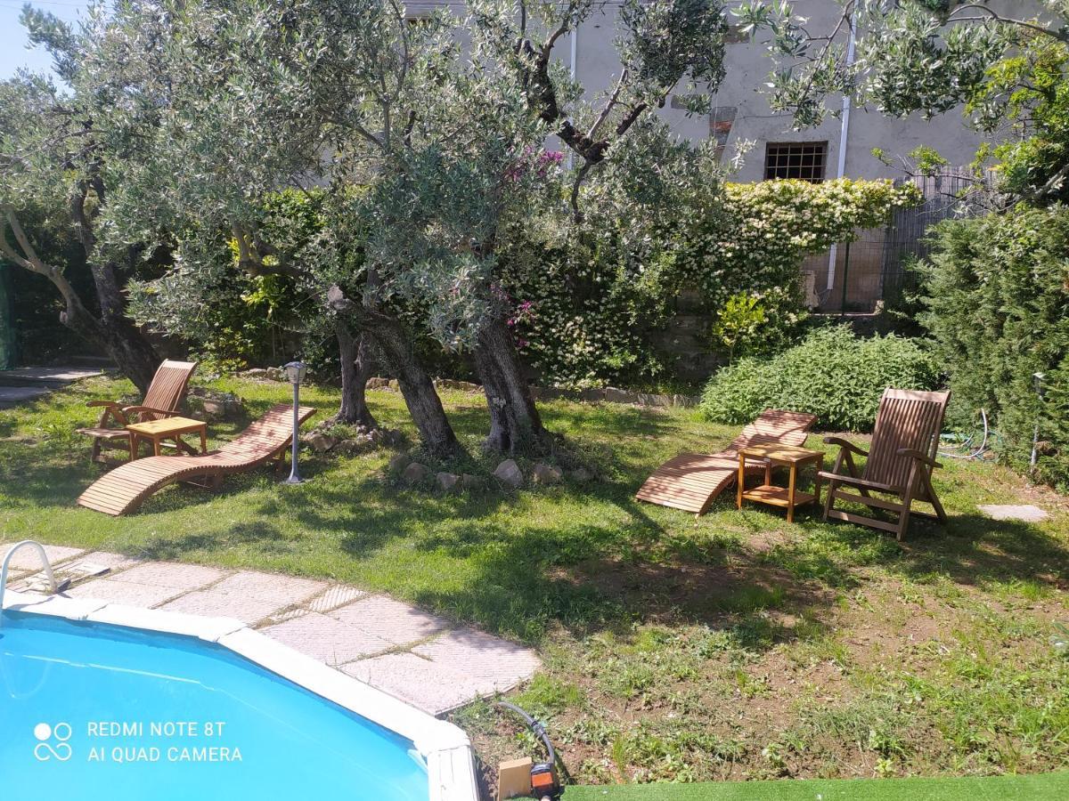 Il Borgo Dei Pini Apartment Vinci Ngoại thất bức ảnh