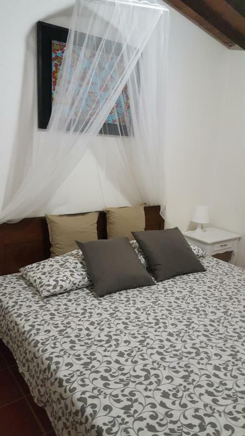 Il Borgo Dei Pini Apartment Vinci Ngoại thất bức ảnh