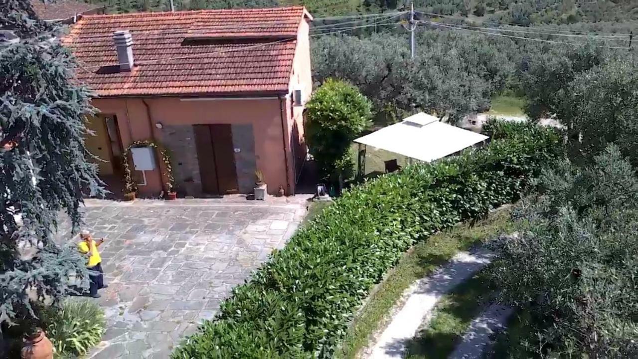 Il Borgo Dei Pini Apartment Vinci Ngoại thất bức ảnh