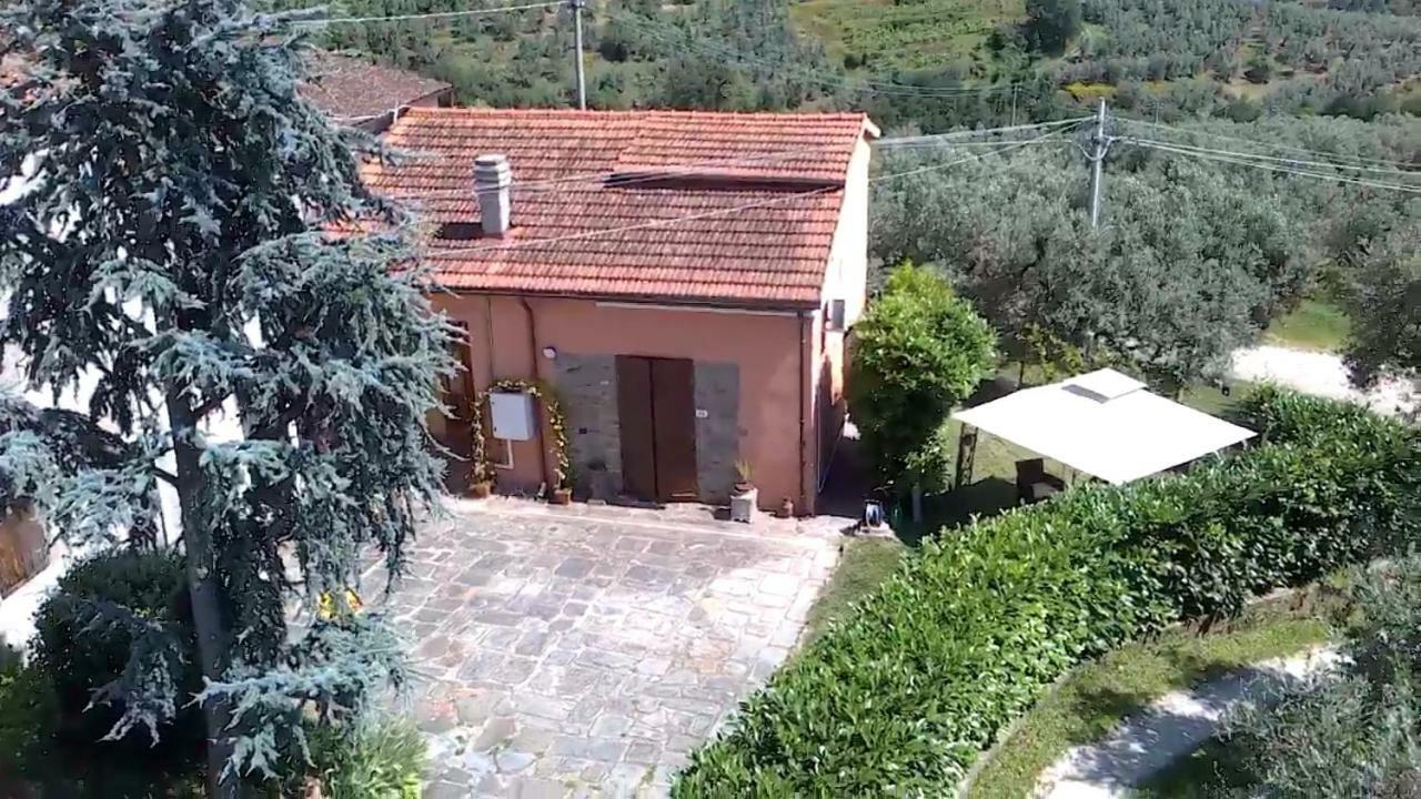 Il Borgo Dei Pini Apartment Vinci Ngoại thất bức ảnh